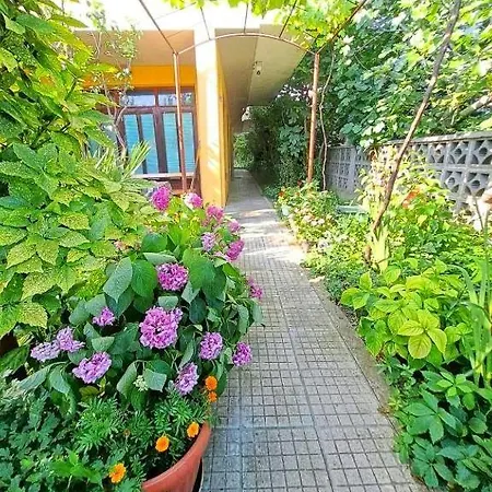 Family California Gasthof 3*