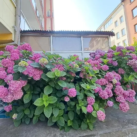 招待所 Family California 3*