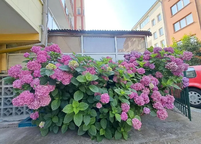 Гостевой дом Family California 3*